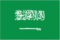 SA Flag